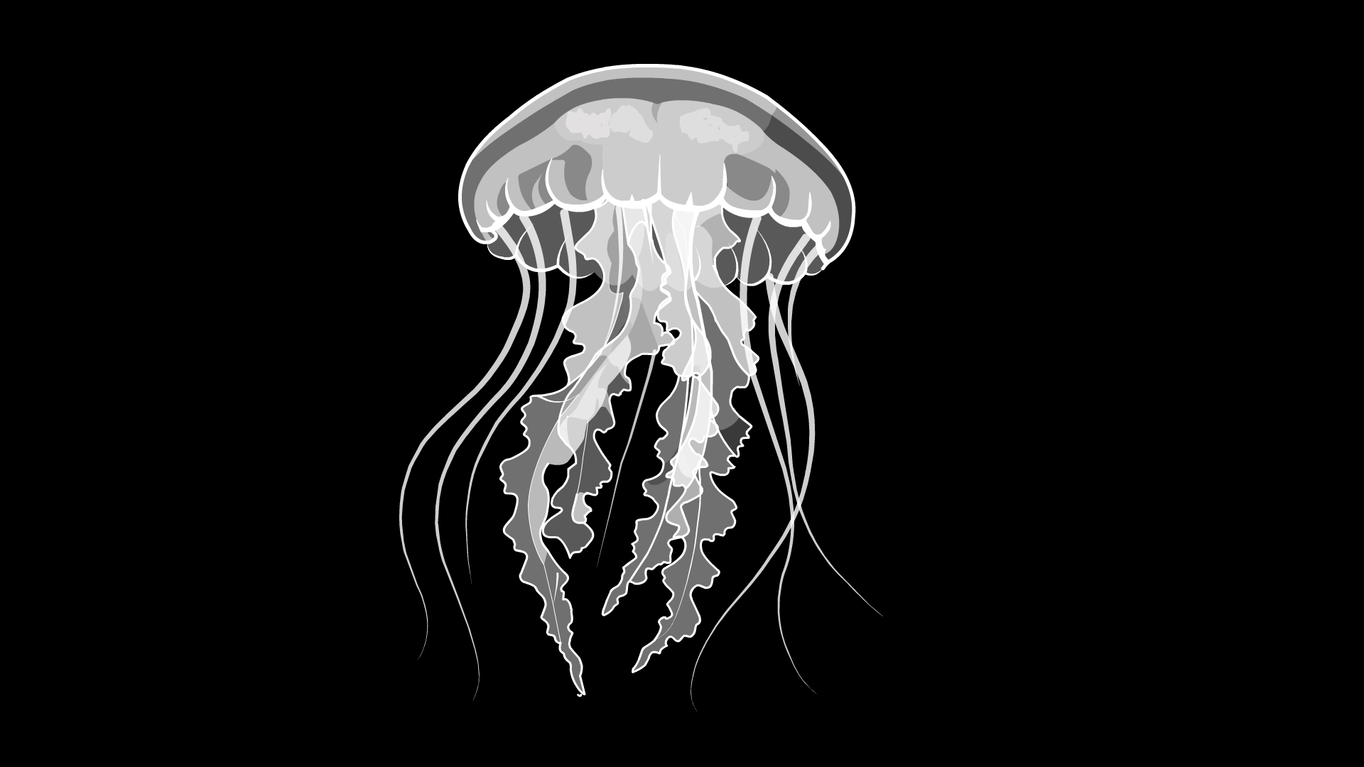 水母