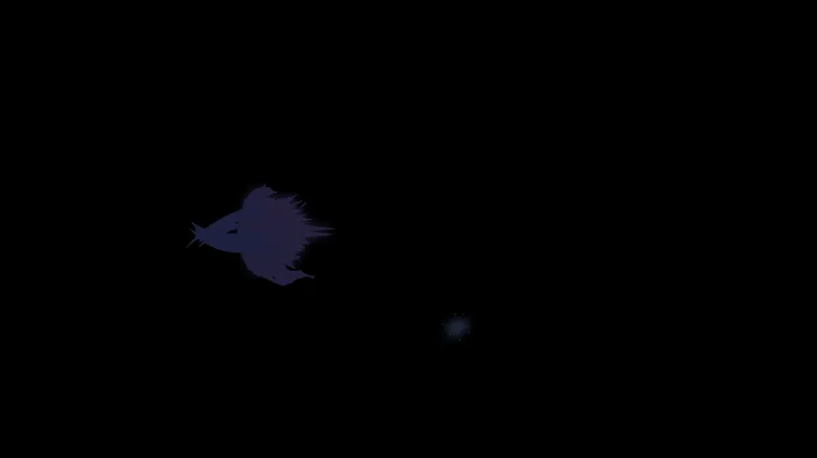 AN特效，黑色攻击02
