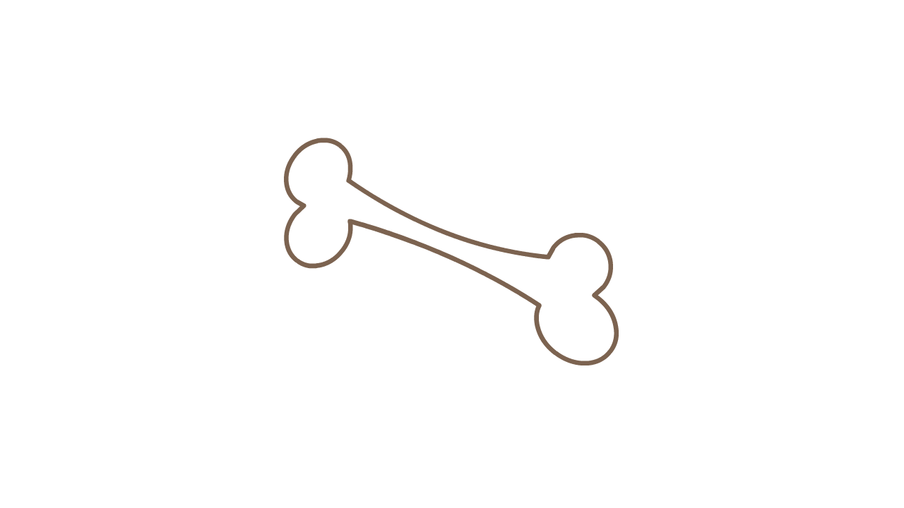 AN格式道具，骨头