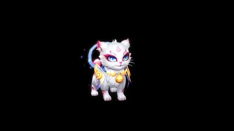 AN格式神兽 神猫