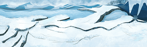 雪地 4