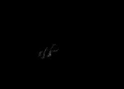 降龙十八掌