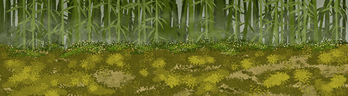 森林草地 2