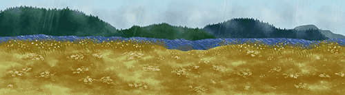 黄色草地