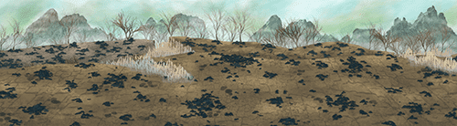 野外荒地 2