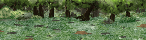 森林草地 3