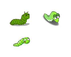 爬行昆虫