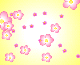 花开朵朵