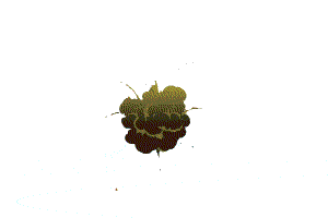 烟雾 爆炸 39