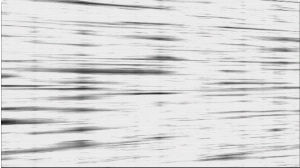 速度线 41