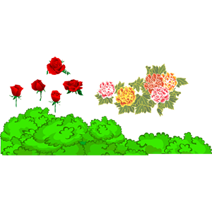 花草 4