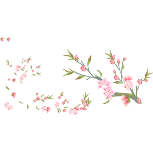 梅花