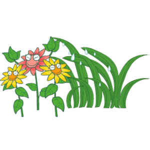 花草 2