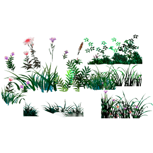 草 草丛