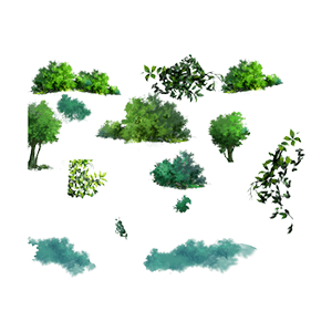 草和树木