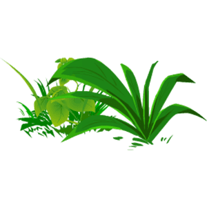 草 3