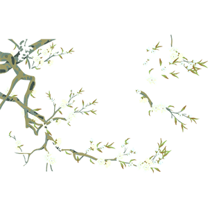 梨花
