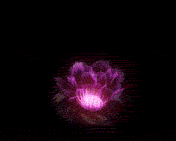冥花盛开