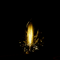 金光璀璨