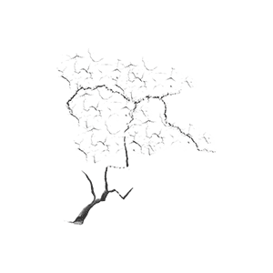 地裂 122