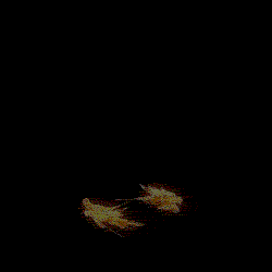 金龙环绕 3