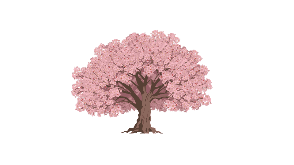 樱花树