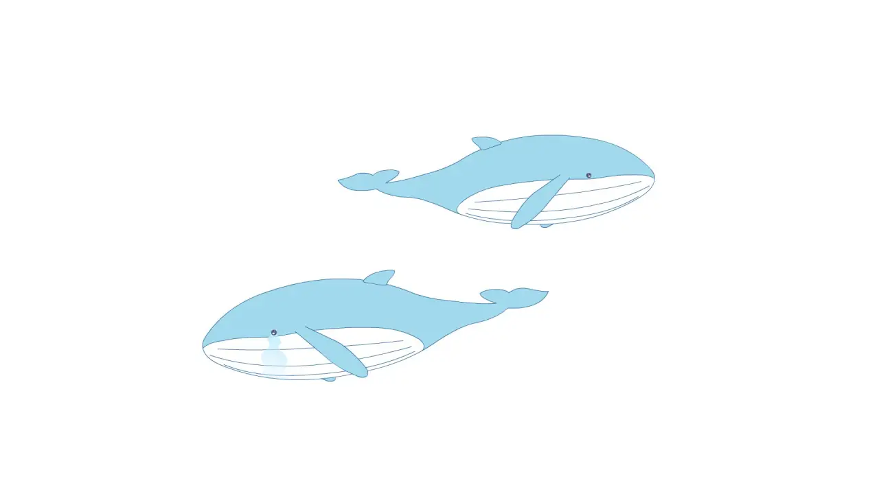 海豚