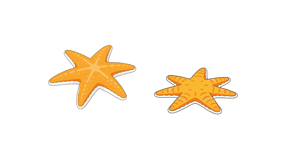 海星