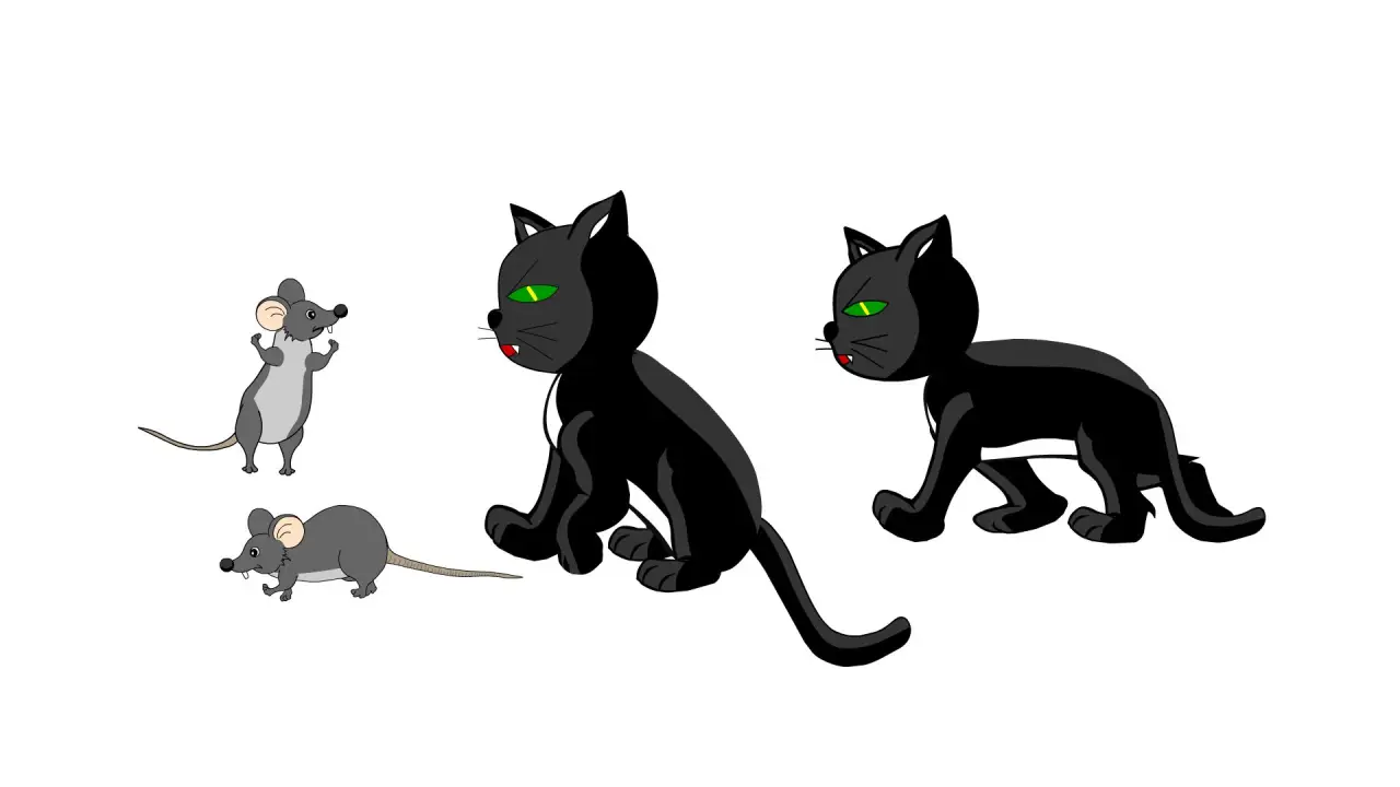 猫和老鼠