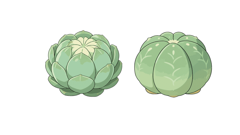 九花玉露丸