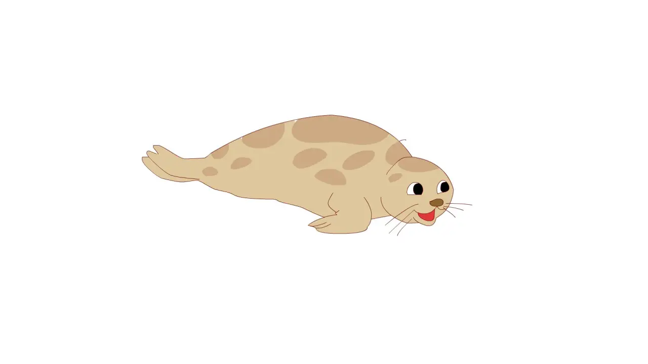 海豹