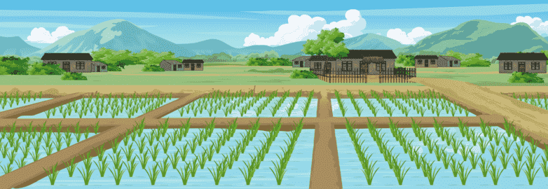 水田稻田（宽幅）