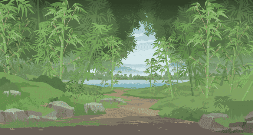 竹林小道