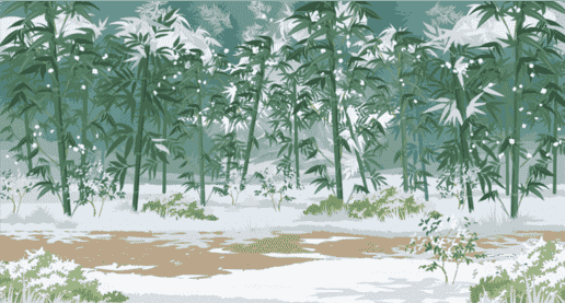 下雪竹林侧
