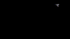 一群鸟特效素材素材视觉艺术素材分享
