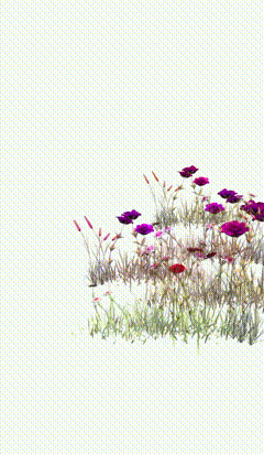 万物生长花草白底素材