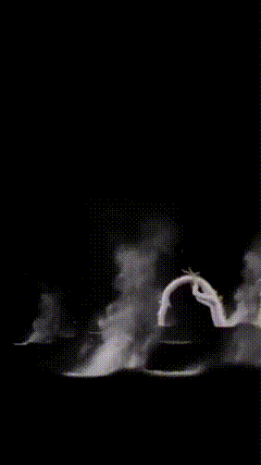 召唤神龙特效素材拉近世界一瞬倾心