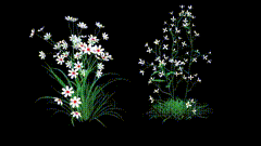 正在生长的花花草草特效素材、可以种在任何