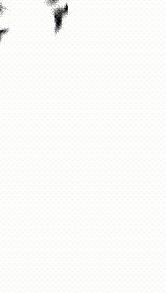 蝙蝠特效素材素材素材