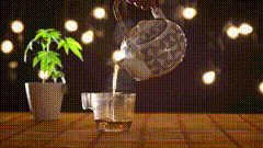 喝茶唯一美素材特效