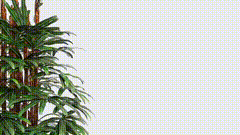 抠图白幕素材特效489