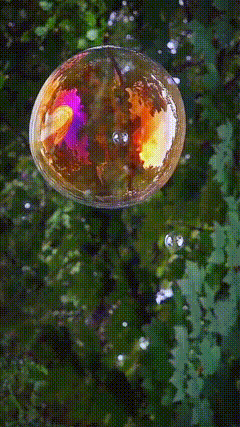 抠图素材特效动态壁纸