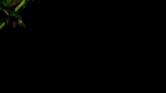 抠图黑幕玫瑰花素材特效