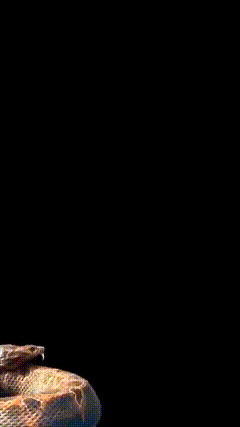 抠图黑幕素材特效36