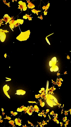 抠图黑幕素材特效889