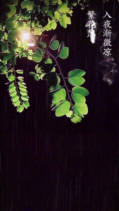 抠图黑幕素材特效动态壁纸618