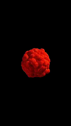 抠图黑幕细菌素材特效2