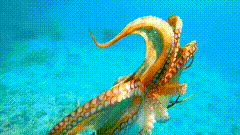 海底素材