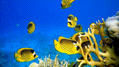 海底素材特效2