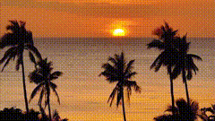 海边夕阳唯美视频素材素材领取方法